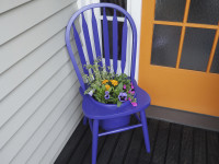 Transform an old chair into a cheerful flower planter
