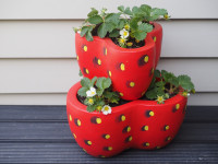 Make a berry nice strawberry planter for the garden