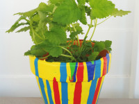 Let your artistic talent blossom with the Resene Plant Pot Challenge!
