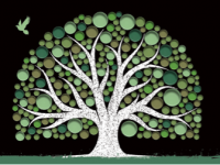 Growing a brighter future: Painting It Green and Trees That Count
