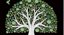 Growing a brighter future: Painting It Green and Trees That Count