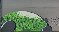 Darcelle Nesser's cosmic passion: Painting the universe of kiwifruit photo
