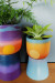 Pot-luck skies: Paint your own sunrise and sunset plant pots