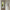 Hallway, neutral hallway, white hallway, hallway featuring Resene Half Sea Fog
