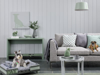 Purr-fect pet projects