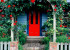 Robyn's Colourful Cottage photo