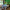 green bedroom, resene left field, kid's bedroom, boys bedroom, children's bedroom