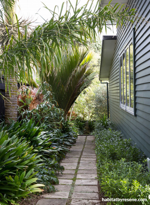 garden, palms, painted weatherboards, grey house, grey exterior, house garden, garden path