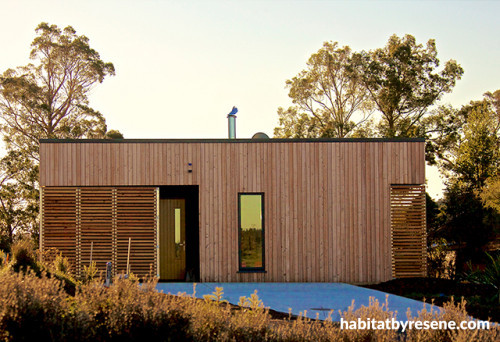 modern bach, modern cabin, contemporary cabin, new zealand bach